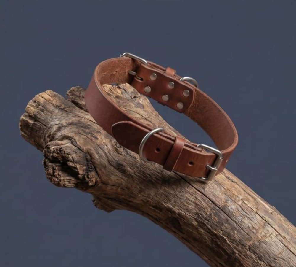 collares perro cuero
